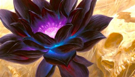 Mtg Black Lotus Price History And Rules