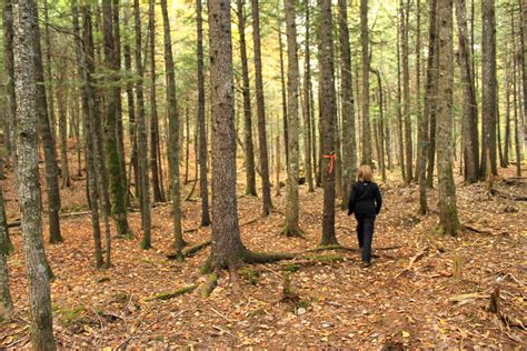 Hiking NB Scotch Lake Road Trail Mactaquac Provincial Park