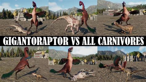 Gigantoraptor Vs All Carnivores Jurassic World Evolution 2 Youtube