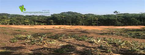 Agriculture Land Sale Kannur Kerala Acres Sams Properties