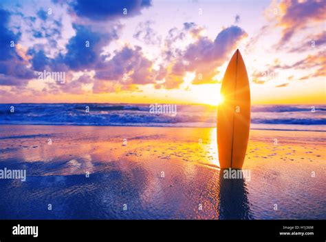 Surfboard on the beach at sunset Stock Photo - Alamy