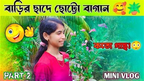 বাড়ির ছাদে ছোট্টো বাগান 🥰🌳 Part 2 🔥 Mini Vlog Youtube