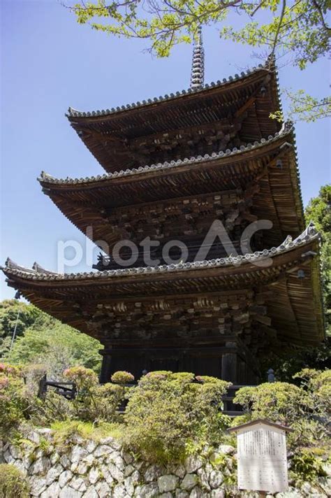 園城寺 三重塔 No 27142892｜写真素材なら「写真ac」無料（フリー）ダウンロードok