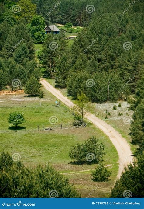 Beautiful Wood Road Stock Image Image Of Tranquil Anemone 7678765