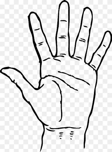 Sketched Hands Png Images Pngwing