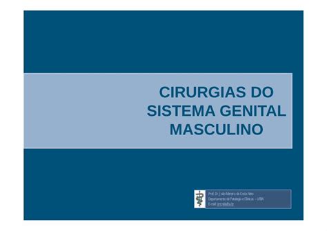 PDF CIRURGIAS DO SISTEMA GENITAL MASCULINO CIRURGIAS DO SISTEMA