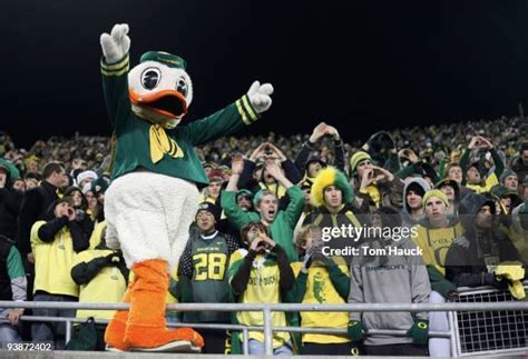 Oregon Duck Mascot Photos Et Images De Collection Getty Images