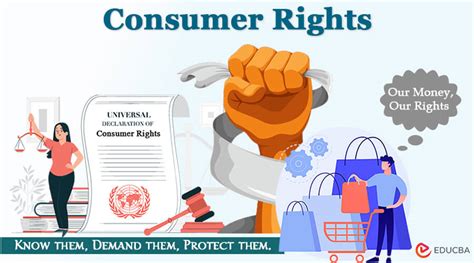 Consumer Rights Essay Evolution Case Study Future