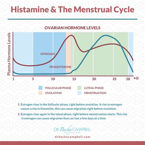 Migraines And Histamine Intolerance Dr Becky Campbell Menstrual