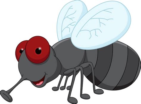 Cute fly cartoon Vector | Premium Download