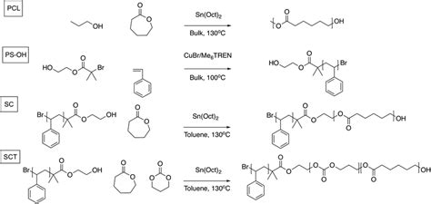 Reaction schemes for the synthesis of poly ε caprolactone PCL