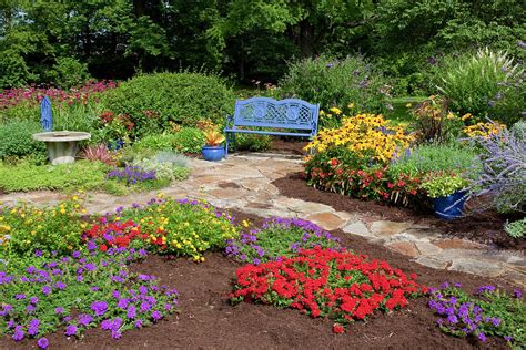 Flower Garden Photograph By Daybreak Imagery Fine Art America