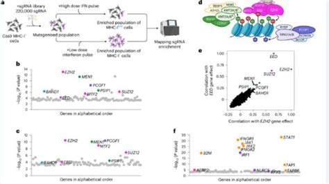 Nature子刊：科学家发现癌细胞特定基因失活的关键因子 知乎