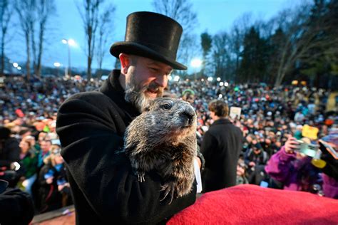 Punxsutawney Phil predicts early spring after waking up to not see his ...