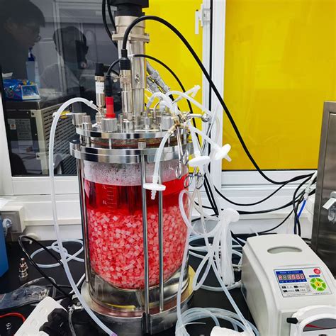 Glass Bioreactor Ritai Bioreactor