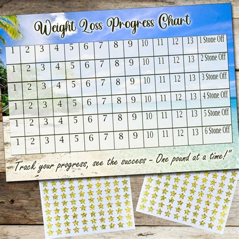 Weight Loss Progress Chart 6 Stone 1 Sheet of Stickers Slimming Target - Etsy