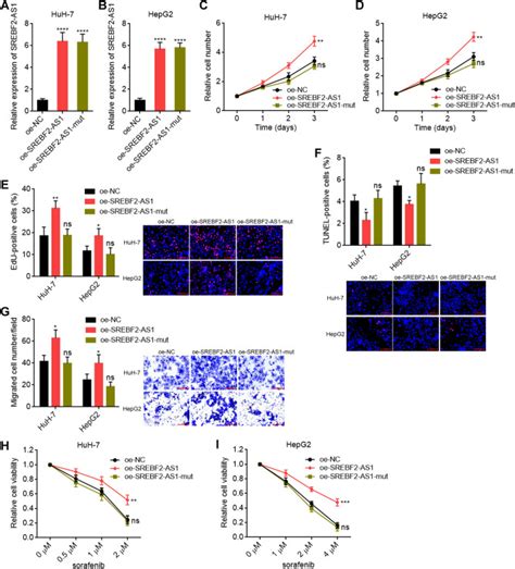 Huh Cells Millipore Bioz