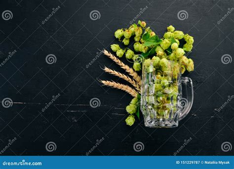 Hop En Tarwe In Een Glas Voor Bier Stock Afbeelding Image Of Alcohol