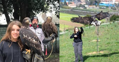 Potenza Picena La Storia Di Ginevra Mandolesi E Della Sua Aquila In Un