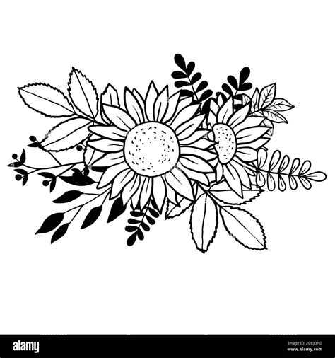 Vector Image Of Hand Drawn Sunflowers Stock Vector Image Art Alamy