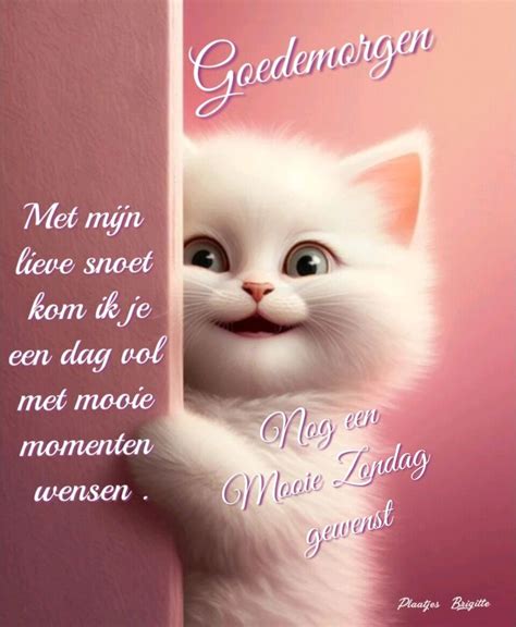 Pin Op A Fijne Zondag Quotes Goedemorgen Goedemorgen Wensen