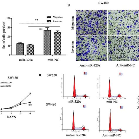 Mir 320a Reduction Correlates To The Increased Colorectal Cancer