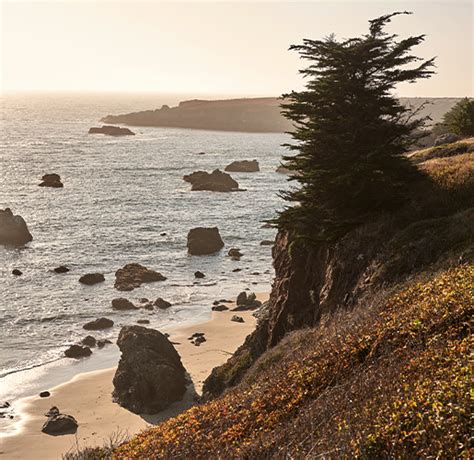 Beaches The Lodge At Bodega Bay