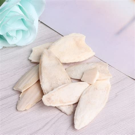 Панцирь каракатицы Aliexpress 1 Bag Cuttlebone Cuttlefish Sepia Bone ...