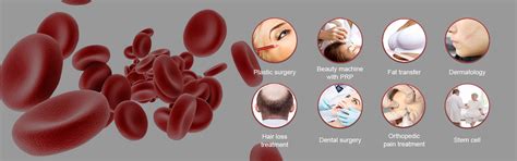 PRP & PRF - Ybo Technologies Co., Ltd.