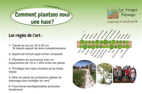 Comment Planter Une Haie Le Verger Paysage