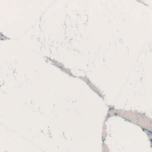 Stonemark In X In Quartz Countertop Sample In Calacatta Laza P