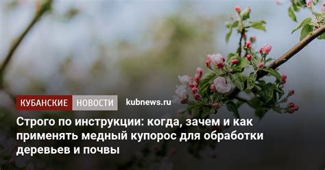 Обрабатываем деревья и почву медным купоросом правильно