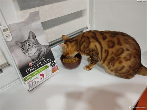 Корм для стерилизованных кошек и кастрированных котов Pro Plan Purina с ...