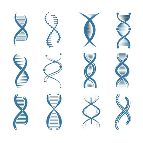 Dna Pictogrammen Genetische Biologie Menselijke Structuur Medische