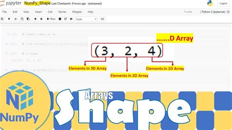 Python NumPy Understanding NumPy Arrays Shape Python For Beginners