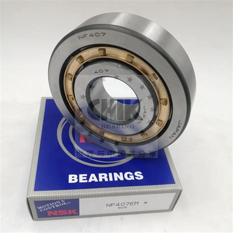 Skf Fag Nj2313 Nj2313e M1 C3 Em Ecm Ecp Ecj Cylindrical Roller Bearing