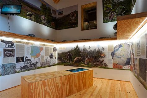 Centro Interpretativo Do Lobo Ibérico Para Lá Do ‘lobo Mau 7montes