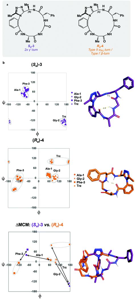 Navigating Complex Peptide Structures Using Macrocycle Conformational