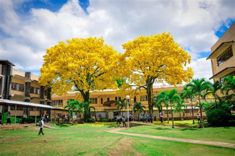 Welcome to BSU - Bukidnon State University