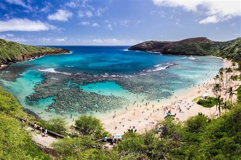 2023 Hanauma Bay Snorkeling Half Day Tour With Equipment