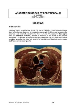 Anatomie Du Coeur Et Des Gr Os Vaisseau Pdf