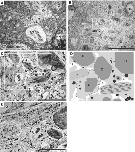 Photomicrographs Of Thin Sections Of Coherent Kimberlite Ck In K2 A