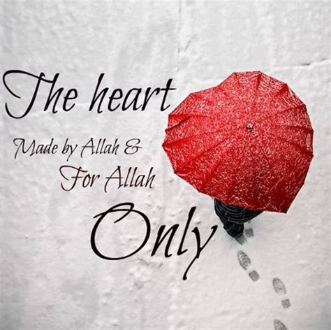 41 Beautiful Islamic Quotes About Love In English 2025