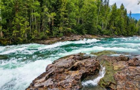 ECOSISTEMAS acuáticos de AGUA DULCE: ejemplos y características - Resumen