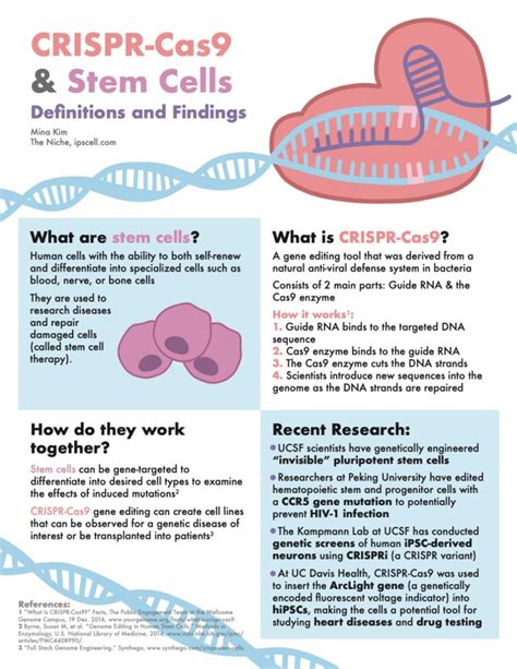 New Research On Crispr Gene Editing In Stem Cells Infographic The Niche