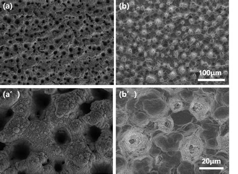 A A The Top View SEM Images Of The Filament Processed Silicon Mold