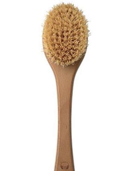 The Body Shop Cactus Brush Beauty Review