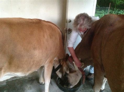 The Yoga Of Ecology More From Bluestone Farm Huffpost