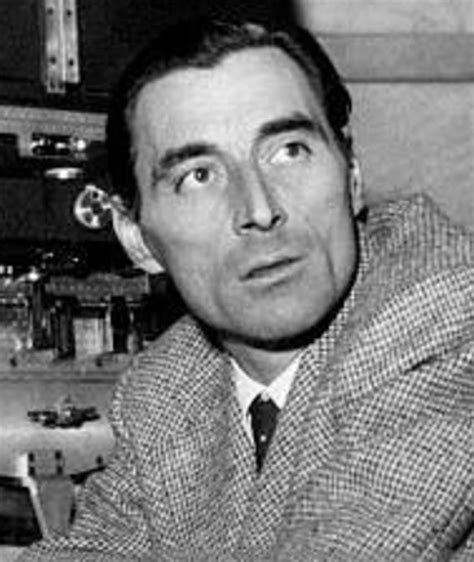 Roberto Amoroso Movies Bio And Lists On Mubi