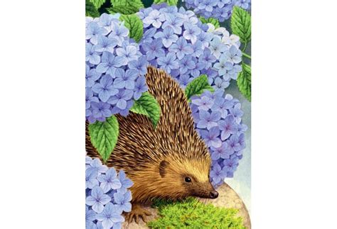 Acards.by - Интернет-магазин открыток и сувениров/ Postcard & Gift Shop